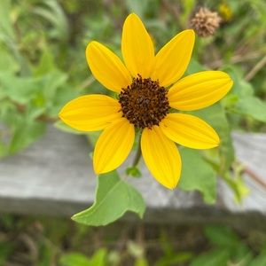 Meet your Posher, Valeria